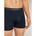 BOXER ANATOMICA HOMME - ICEBREAKER