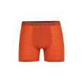 BOXER ANATOMICA HOMME - ICEBREAKER