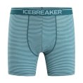 BOXER ANATOMICA HOMME - ICEBREAKER
