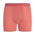 BOXER ANATOMICA HOMME - ICEBREAKER
