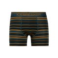 BOXER ANATOMICA HOMME - ICEBREAKER