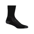 CHAUSSETTES HIKE+ LIGHT CREW FEMME - ICEBREAKER