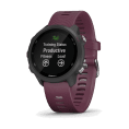 FORERUNNER® 245 & FORERUNNER® 245 MUSIC - GARMIN
