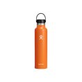 GOURDE 24 OZ STANDARD FLEX CAP - HYDRO-FLASK
