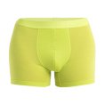 BOXER ANATOMICA COOL-LITE HOMME - ICEBREAKER