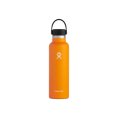 GOURDE 21 OZ STANDARD FLEX CAP - HYDRO-FLASK