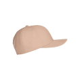 CASQUETTE PATCH - ICEBREAKER