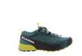 RIBELLE RUN GTX HOMME
