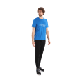 T-SHIRT MERINO TECH LITE II ALPES 3D HOMME - ICEBREAKER