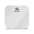 BALANCE INDEX S2 - GARMIN