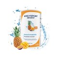 BOISSONS REGEN 450G - ERGYSPORT
