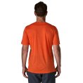 T-SHIRT CAPILENE COOL MERINO GRAPHIC MANICHE CORTE UOMO - PATAGONIA