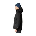 VESTE MOUNTAIN LIGHT TRICLIMATE GTX HOMME - THE NORTH FACE