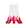 POINTES DE BÂTONS KIT CROSSOVER P.WHITE/GOYAVE