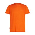 T-SHIRT MANCHES COURTES MERINOS SPHERE II HOMME - ICEBREAKER