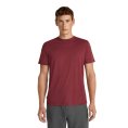T-SHIRT MERINOS 150 MANCHES COURTES TECH LITE III HOMME - ICEBREAKER