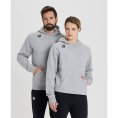Sweat à capuche Team Panel - ARENA