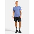 Maglia da trail running X-Alp Performance Wool 115 uomo - ODLO