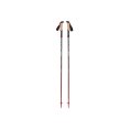BÂTONS DE RANDONNÉE PURSUIT FLZ - BLACK DIAMOND