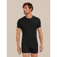 T-shirt Anatomica 150 homme - ICEBREAKER
