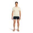 T-shirt Anatomica 150 homme - ICEBREAKER