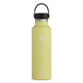 Gourde 24 OZ STANDARD MOUTH - HYDRO-FLASK