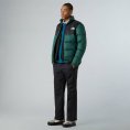 Pantalon Antora homme - THE NORTH FACE