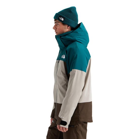 THE NORTH FACE - Veste Chakal homme