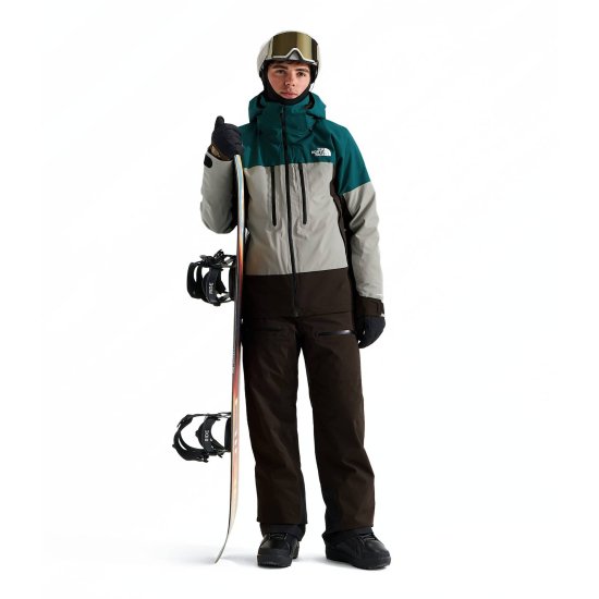 THE NORTH FACE - Veste Chakal homme
