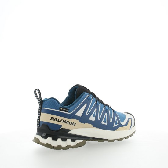 SALOMON - XA PRO 3D V9 GTX HOMME