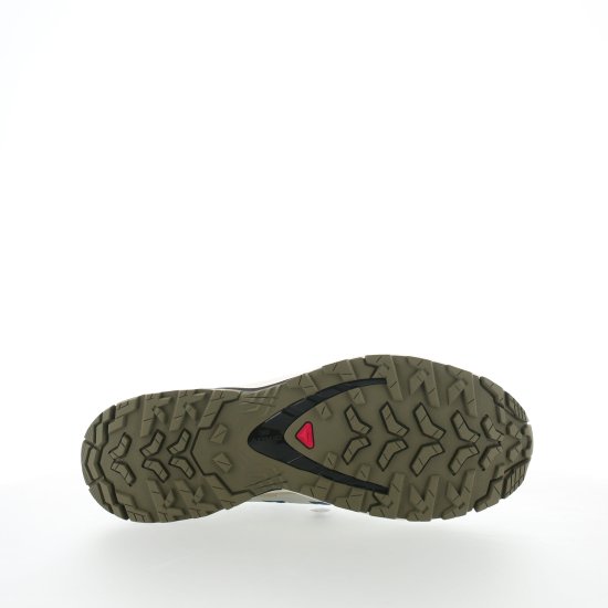 SALOMON - XA PRO 3D V9 GTX HOMME