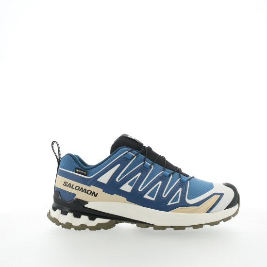 SALOMON - XA PRO 3D V9 GTX HOMME