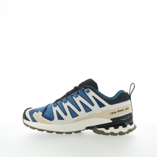 SALOMON - XA PRO 3D V9 GTX HOMME