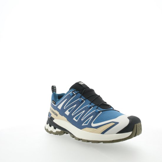 SALOMON - XA PRO 3D V9 GTX HOMME