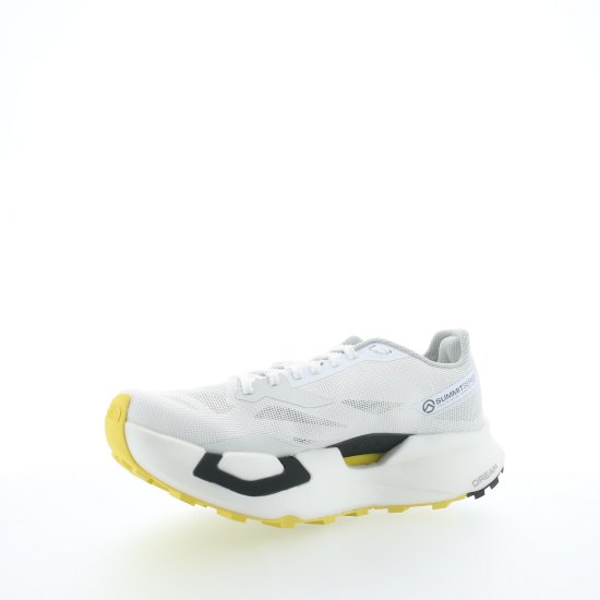 THE NORTH FACE - SUMMIT VECTIV PRO 3