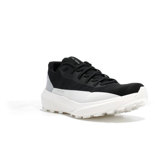 ARCTERYX - NORVAN LD 4 homme