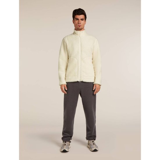 ICEBREAKER - POLAIRE MERINO BLEND 800 REALFLEECE HIGH PILE HOMME