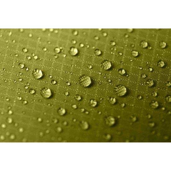 NEMO - Tente Hornet Osmo 2 places