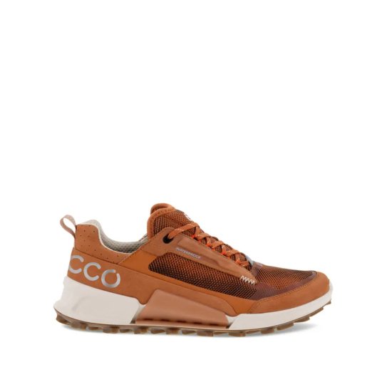 ECCO - Biom 2.1 x Mountain femme