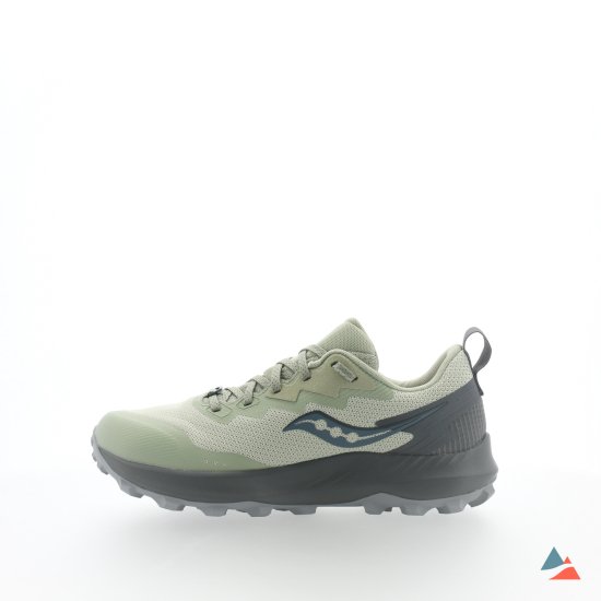 SAUCONY - PEREGRINE 14 GTX FEMME