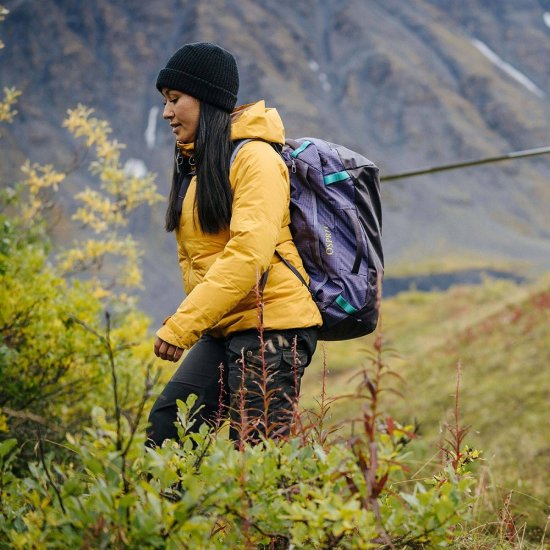 OSPREY - BORSA DA VIAGGIO TRANSPORTER 40