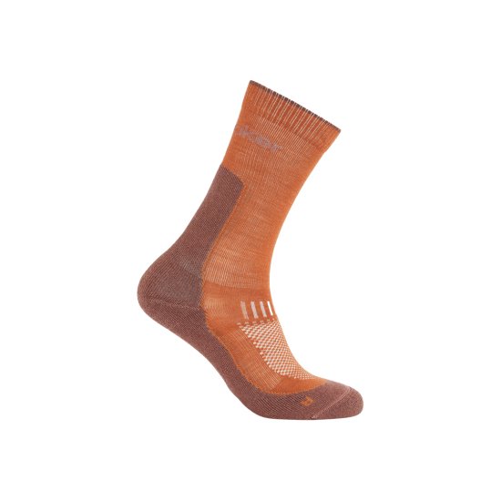 ICEBREAKER - CHAUSSETTES HAUTES MÉRINOS LIGHT HIKE+ FEMME