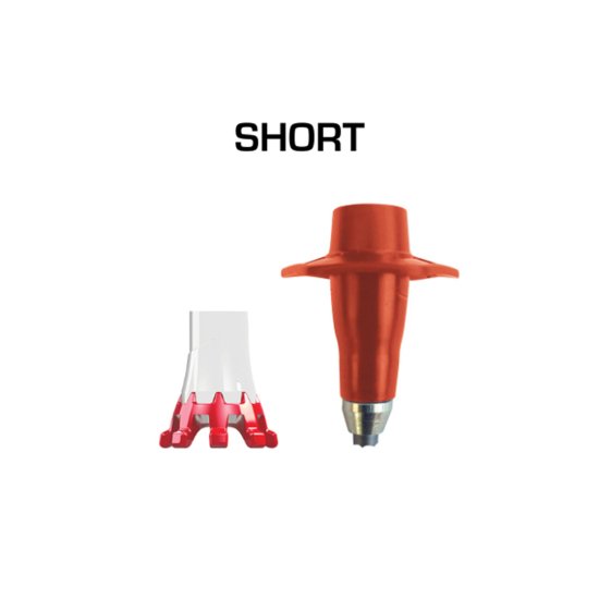 TSL - Bâtons de trail C4