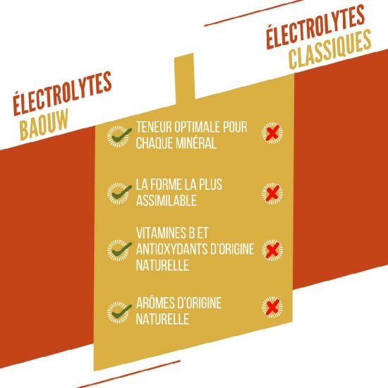 BAOUW - Pastiglie elettrolitiche
