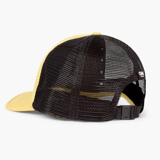 CIELE - CASQUETTE TRLCAP SC FIELD UP DOWN