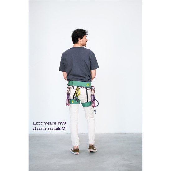 BEAL - HARNAIS TRINITY