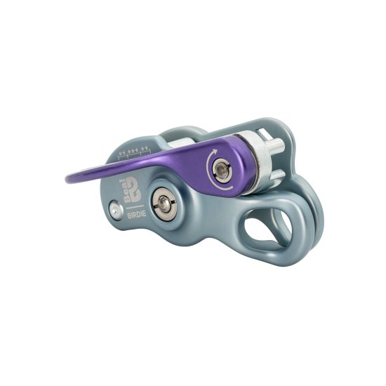 BEAL - ASSUREUR BIRDIE