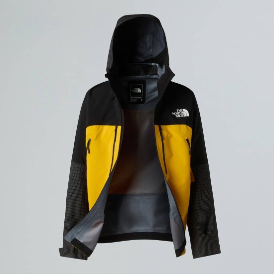 THE NORTH FACE - VESTE SUMMIT MOUNTAIN GTX PRO HOMME