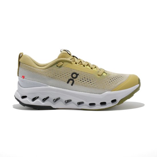 ON - Cloudsurfer Trail 2 homme