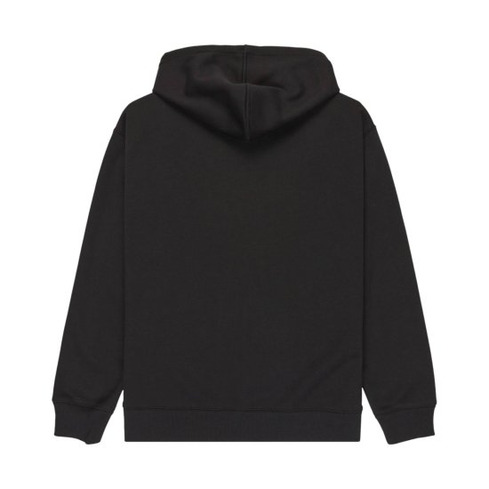 ELEMENT - Sweat à capuche zippé Icon Rain homme
